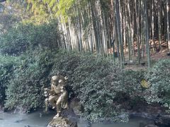 -杭州黄龙洞