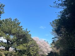 -西归浦真珠食堂