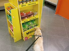 -帕帕拉兹宠物(亚洲旗舰店)