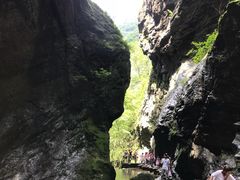 -牛背梁国家森林公园