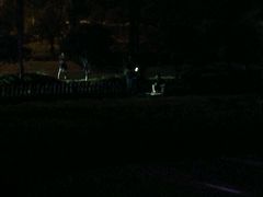 -金孔雀温泉旅游度假村