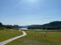 -风云岭森林公园