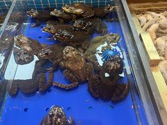 -黑金·寻焰自助百汇·烤肉·火锅(中街店)