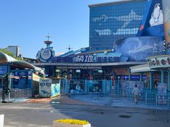 -海合安青岛极地海洋公园