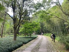 -黄公望隐居地