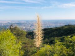 -鬼笑石后山停车场