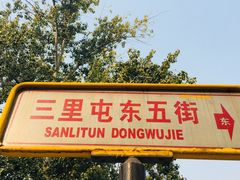 -三里屯东五街银杏大道