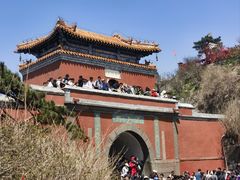 -泰山风景名胜区