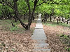 -五龙山