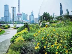 -北外滩滨江绿地
