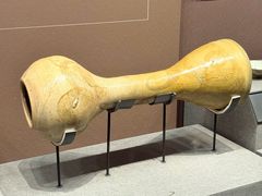 -广西壮族自治区博物馆