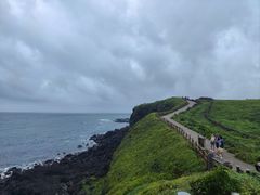 -涉地可支