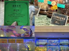 -南海渔村(珠江新城店)