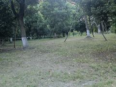 -九科绿洲