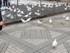 -绵阳人民公园(涪城区)