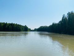 -上海海湾国家森林公园