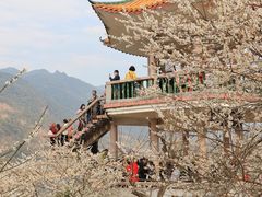 -广州市流溪河国家森林公园