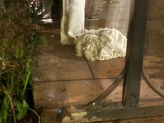 -江门古兜温泉小镇