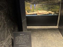 -亳州博物馆