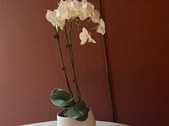 -蘇锦宴·淮扬菜烤鸭·小院(三元桥霄云路店)