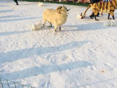 -绿野森林乐园冰雪季