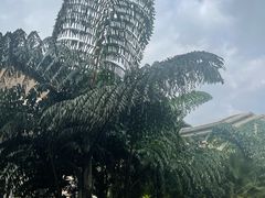 -昆明洲际酒店