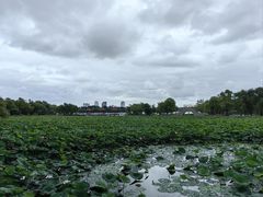 -长春市南湖公园