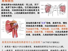 -锐动健身游泳(博地中心店)