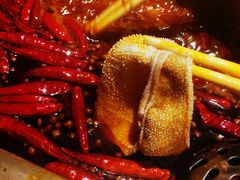 经典毛肚-丙申臺火锅