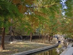 -白水寺森林公园