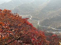 -水峪民俗村