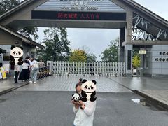 -中国大熊猫保护研究中心雅安碧峰峡基地