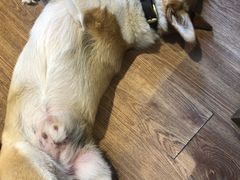 -阿木舂记·特色小吃(平江路店)