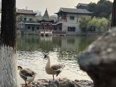 -东莞市可园博物馆