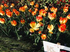 -杭州师范大学(下沙校区)
