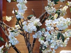 -诺筵汤品·菌汤火锅(南河坝店)