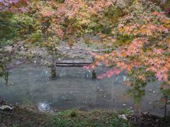 -花开海上生态园