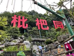 -枇杷园食为鲜火锅(南山店)