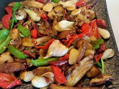 -蘑统田下·野生菌火锅