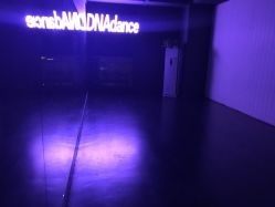 -DNA舞室