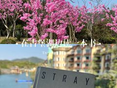 -深圳东部华侨城茵特拉根酒店