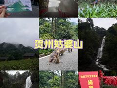 -姑婆山旅游区
