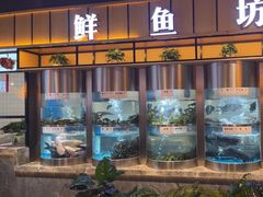 -老船舫·现做活鲜鱼馆(东郊记忆店)