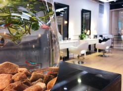 大厅-PIONEER·韩式