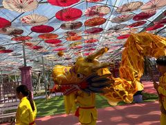 -广东花都香草世界旅游度假区