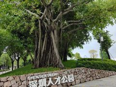 -深圳人才公园