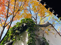 -铃木食堂(杨梅竹店)