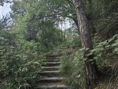-青龙山国家森林公园