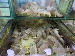 -班赞海鲜市场