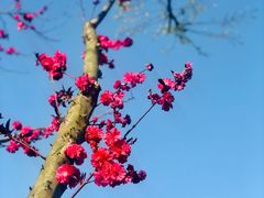 -白鹭湾湿地公园